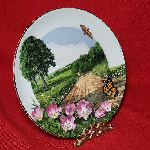 VTG Decorative Plate Royal Windsor Buttercup Wildflowers of the South Gold Trim - Picture 8 of 12